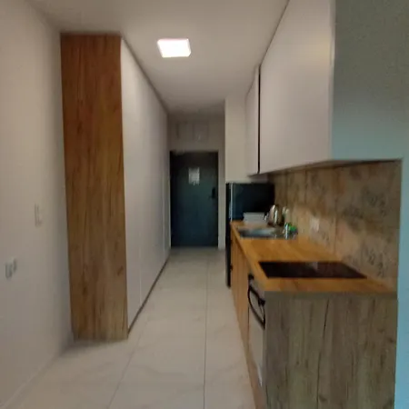 Luxury Apartment