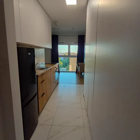 Luxury Apartment